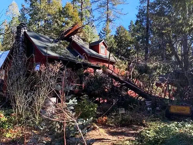 Fire Prevention & Clearing Services