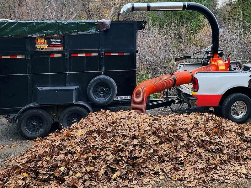 leaf removal in Sonora, CA