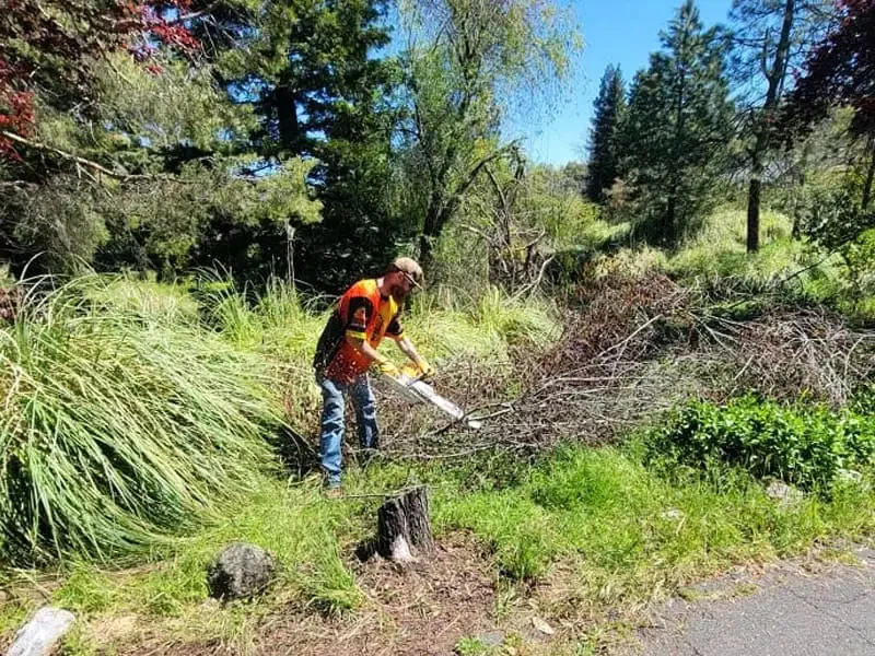 Junk removal in Sonora, CA