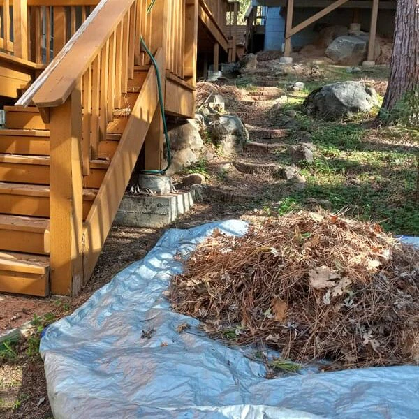 Leaf Removal in Sonora California